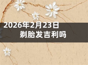 2026年2月23日剃胎发吉利吗