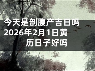 今天是剖腹产吉日吗 2026年2月1日黄历日子好吗