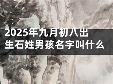 2025年九月初八出生石姓男孩名字叫什么