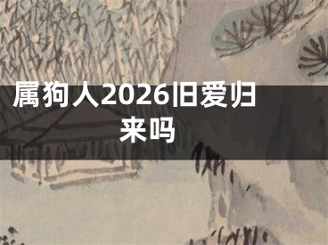 属狗人2026旧爱归来吗