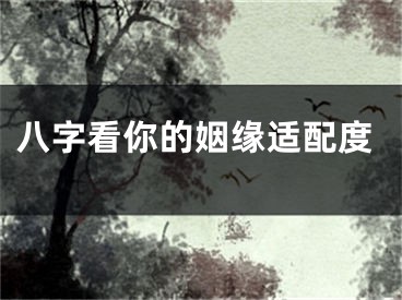 八字看你的姻缘适配度