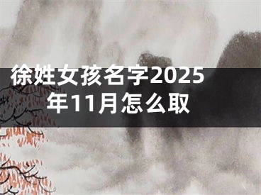 徐姓女孩名字2025年11月怎么取