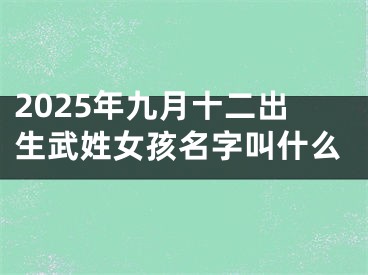 2025年九月十二出生武姓女孩名字叫什么