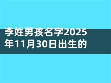 李姓男孩名字2025年11月30日出生的
