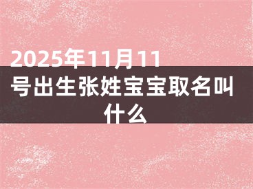 2025年11月11号出生张姓宝宝取名叫什么