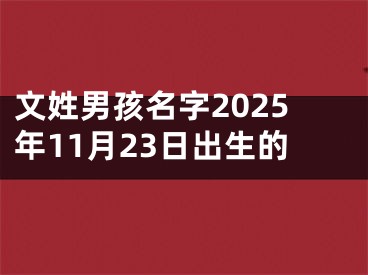 文姓男孩名字2025年11月23日出生的