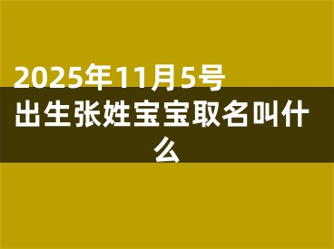 2025年11月5号出生张姓宝宝取名叫什么