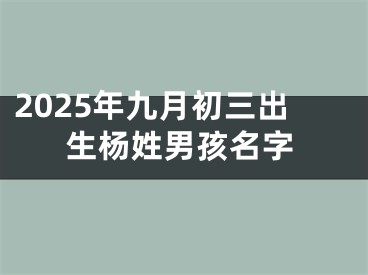 2025年九月初三出生杨姓男孩名字
