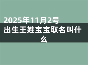 2025年11月2号出生王姓宝宝取名叫什么