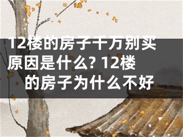 12楼的房子千万别买原因是什么? 12楼的房子为什么不好