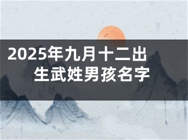 2025年九月十二出生武姓男孩名字