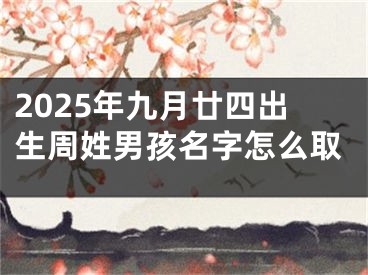 2025年九月廿四出生周姓男孩名字怎么取