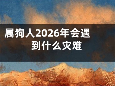 属狗人2026年会遇到什么灾难