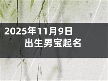 2025年11月9日出生男宝起名