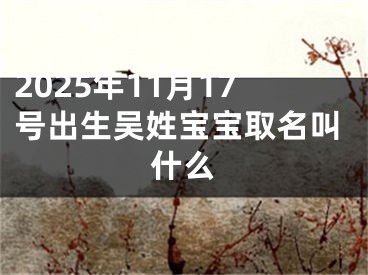2025年11月17号出生吴姓宝宝取名叫什么