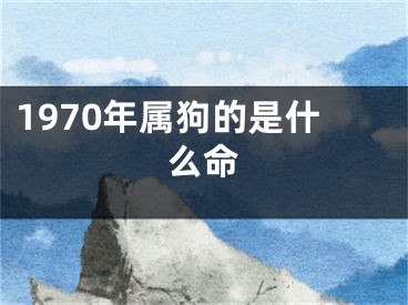 1970年属狗的是什么命