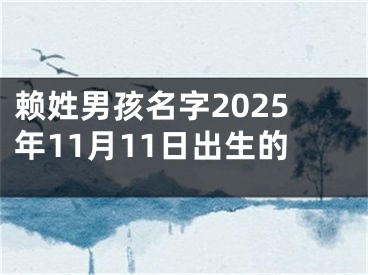 赖姓男孩名字2025年11月11日出生的