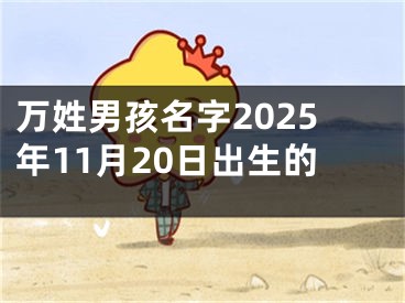 万姓男孩名字2025年11月20日出生的