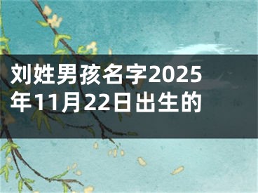 刘姓男孩名字2025年11月22日出生的