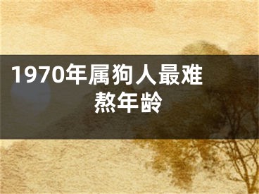 1970年属狗人最难熬年龄