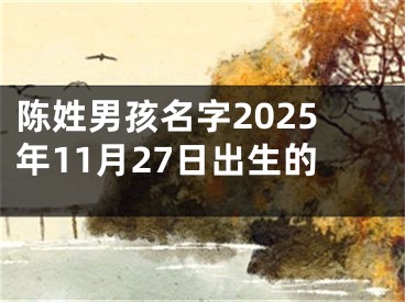 陈姓男孩名字2025年11月27日出生的