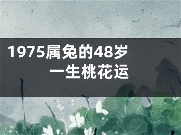 1975属兔的48岁一生桃花运