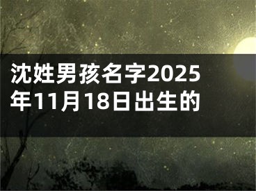 沈姓男孩名字2025年11月18日出生的