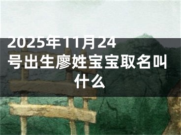 2025年11月24号出生廖姓宝宝取名叫什么