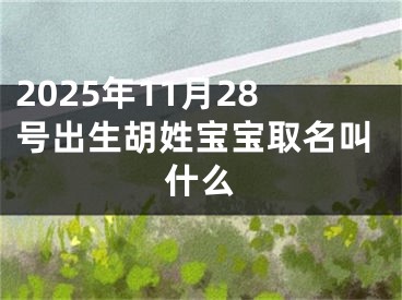 2025年11月28号出生胡姓宝宝取名叫什么