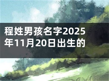 程姓男孩名字2025年11月20日出生的