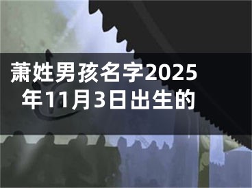 萧姓男孩名字2025年11月3日出生的