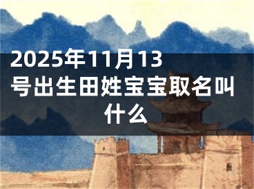 2025年11月13号出生田姓宝宝取名叫什么