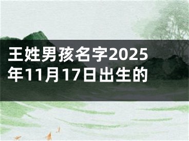 王姓男孩名字2025年11月17日出生的