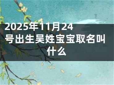 2025年11月24号出生吴姓宝宝取名叫什么
