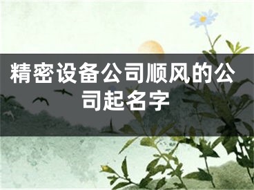 精密设备公司顺风的公司起名字