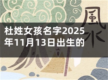 杜姓女孩名字2025年11月13日出生的