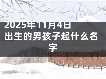 2025年11月4日出生的男孩子起什么名字