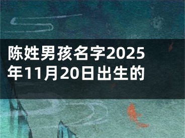 陈姓男孩名字2025年11月20日出生的