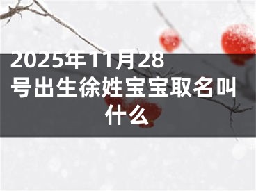2025年11月28号出生徐姓宝宝取名叫什么