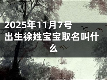 2025年11月7号出生徐姓宝宝取名叫什么
