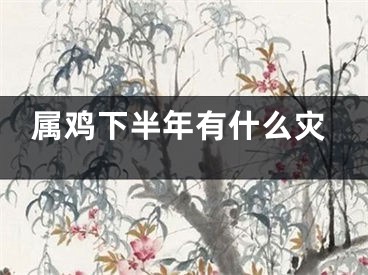 属鸡下半年有什么灾