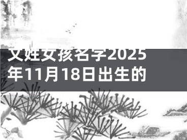 文姓女孩名字2025年11月18日出生的