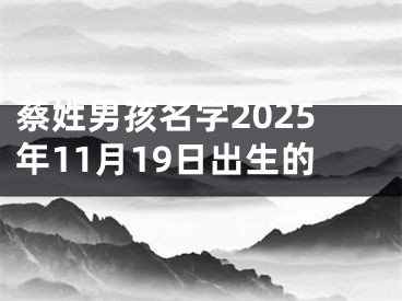 蔡姓男孩名字2025年11月19日出生的