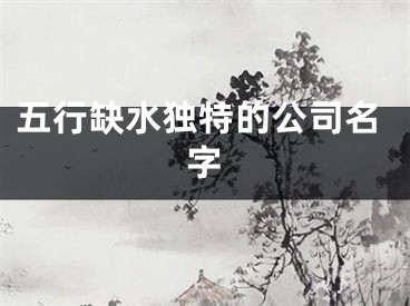 五行缺水独特的公司名字