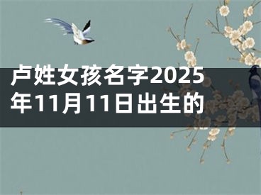 卢姓女孩名字2025年11月11日出生的
