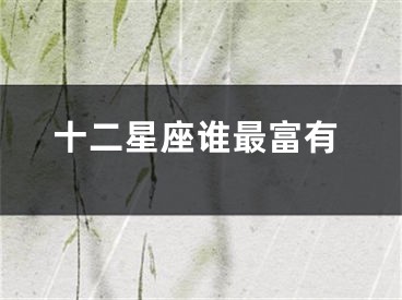十二星座谁最富有
