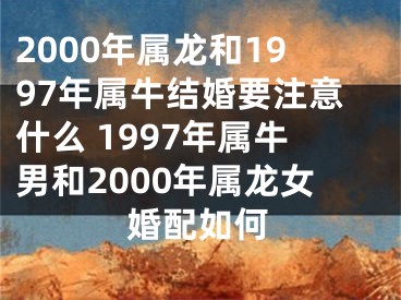 2000年属龙和1997年属牛结婚要注意什么 1997年属牛男和2000年属龙女婚配如何