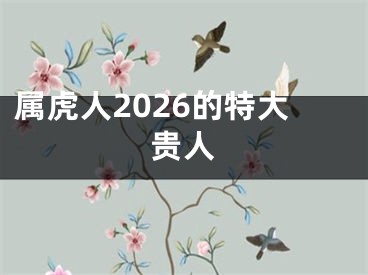 属虎人2026的特大贵人