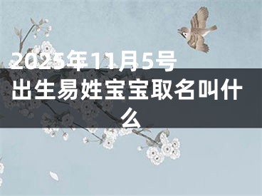 2025年11月5号出生易姓宝宝取名叫什么