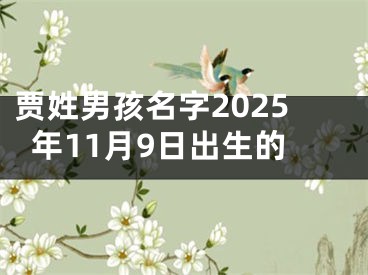 贾姓男孩名字2025年11月9日出生的